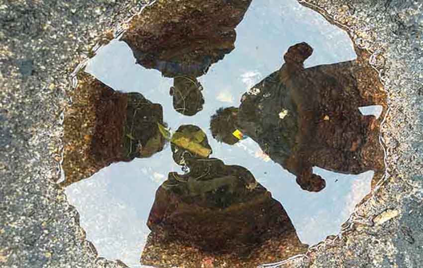 reflection